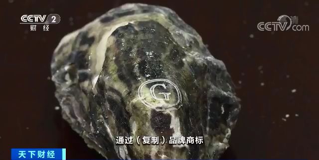 你吃的法国品牌生蚝可能是假的:14元低端品卖40元