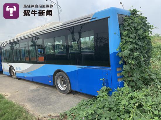 镇江20辆崭新公交车抛荒野外无人问 或与“骗补”有关