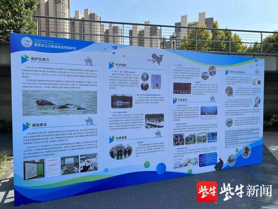 “南京长江江豚保护主题月”活动启动