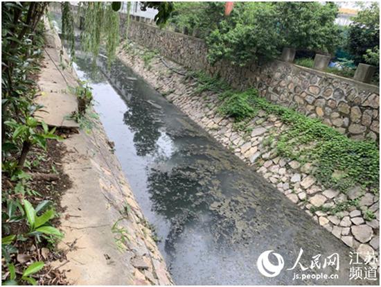 仙林老十里长沟雨后水体呈墨绿色,表面有一层漂浮物王艳摄