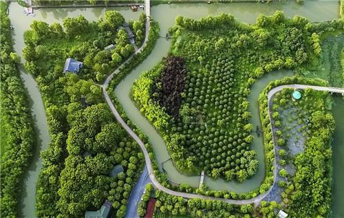 (图为泰州自然风光。图片/视觉江苏网)