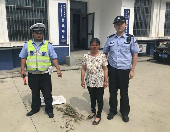 妇女携带罂粟壳刚进南京就被查获 自称用于喂猪