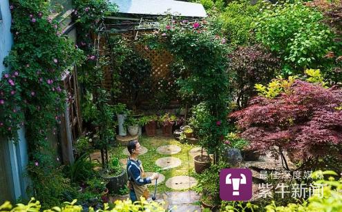 花甲男子用废弃物打造2千平花园 请大家免费住