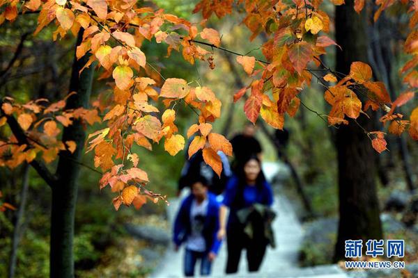 河北灵寿县境内的太行山脉秋意渐浓,色彩斑斓的树叶将太行山装点得分外美丽。