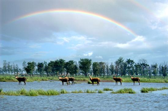 五一假日哪里去,打开心扉,畅游盐城呗!