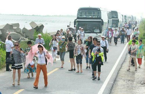 游生态绿城,品诗画东台盐城东台交旅携手万人