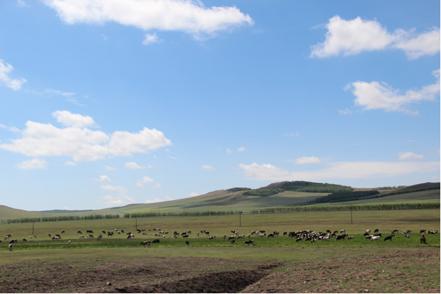 老司机驾威旺S50走进呼伦贝尔炫彩盛夏_南京
