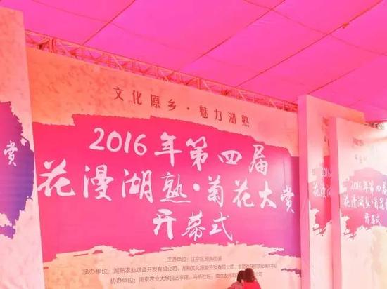 南京又有好玩的地方啦!江宁湖熟的菊花美到极