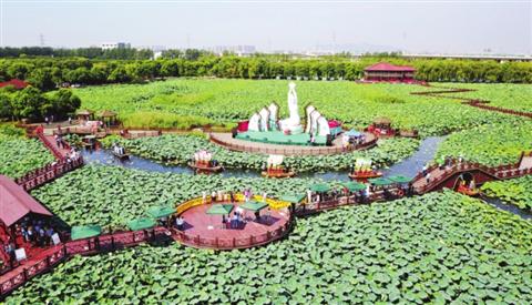 荷塘月色为 荷花 庆生 再现300多年前苏州赏荷