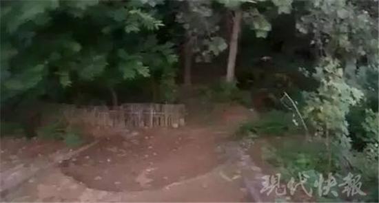 交警供图