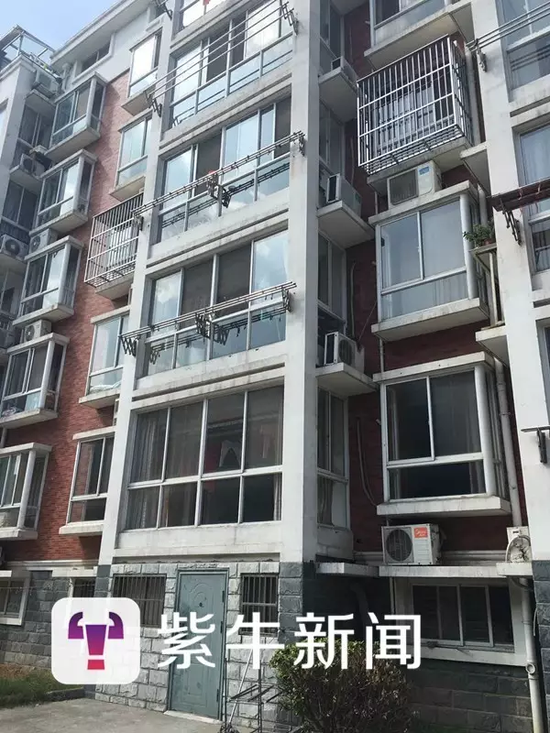 高中生敲响遭拒刀砍母亲母亲血糊糊上网作文高中英语邻居mydream图片