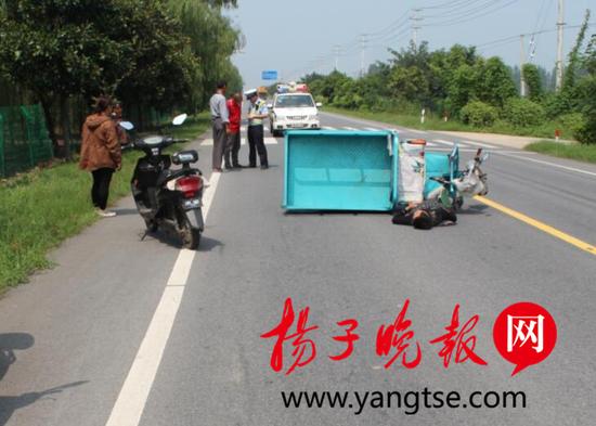 葛某被马撞翻倒地