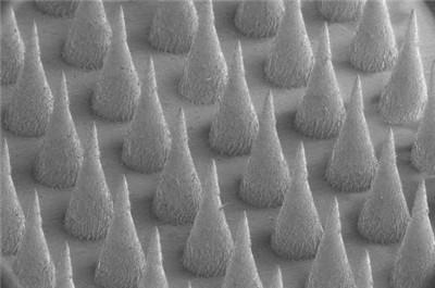 坐着能燃烧脂肪?江苏科学家带来减肥贴片