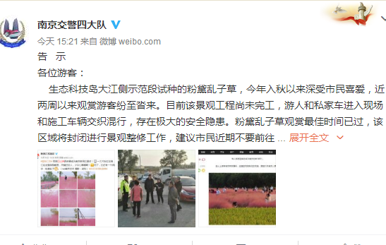 别去啦！火爆朋友圈江心洲的网红——粉黛乱子下架了