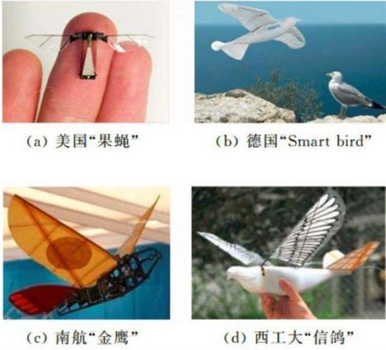 几种在研的仿生无人机。