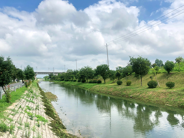 南京农村河道整治显成效 今年启动“百村千塘”行动