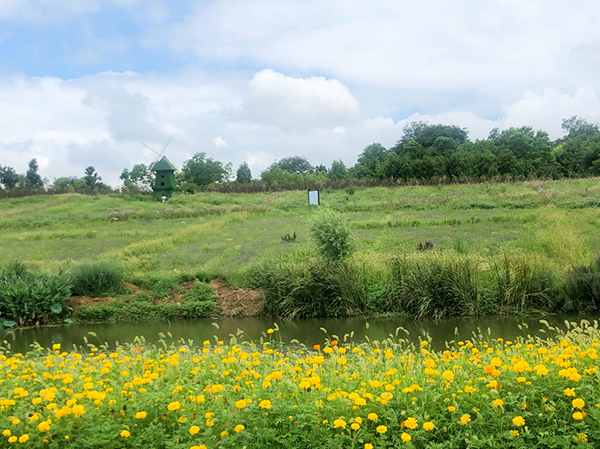南京农村河道整治显成效 今年启动“百村千塘”行动