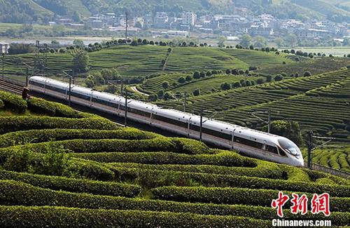 4月8日,一列动车组行驶在合福高铁武夷山区段的南岸特大桥上。4月10日零时起,全国铁路将实施新的列车运行图,优化高铁列车开行方案。 中新社发 郭淑媛 摄