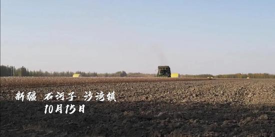 ▲ 中国棉花网新疆棉花调研视频截图