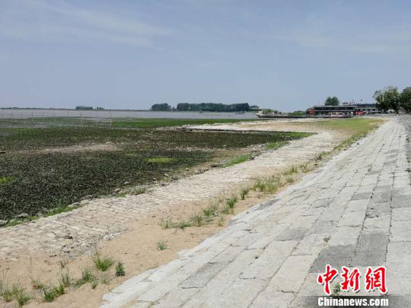 在位于洪泽湖滩地上的洪泽湖浴场,水位退去,岸边的沙石在阳光炙烤下裸露在外。楼锋 图