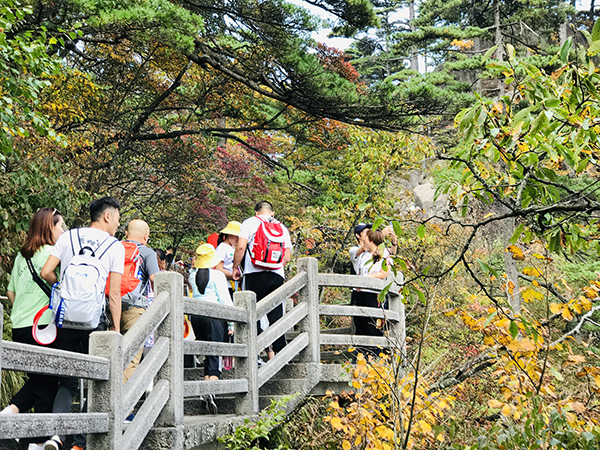 国庆前四天黄山景区共接待12万人 游客进山需排队1小时