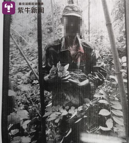 还在喝奶它们就被杀了 只因体内有贪婪者要的“宝”