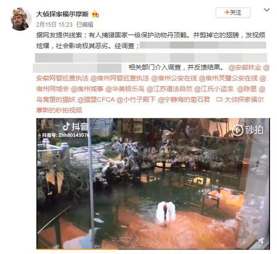 有人发视频炫耀私养丹顶鹤？为防飞走还剪掉其飞羽