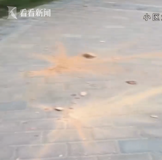 2名熊孩子32楼扔下砖头被抓 家长:别说了不要吓到娃