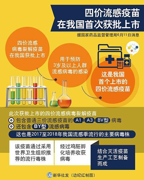 图表:四价流感疫苗在我国首次获批上市 新华社发 边纪红 制图