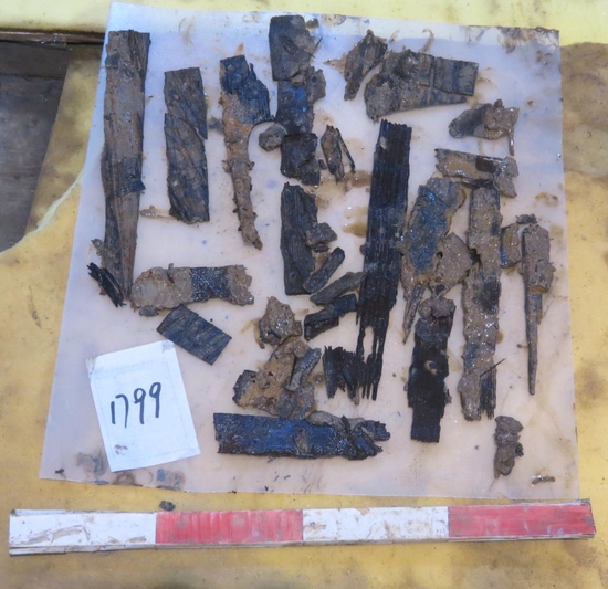 图为墓中刚出土的残牍。江西省文物考古研究院供图