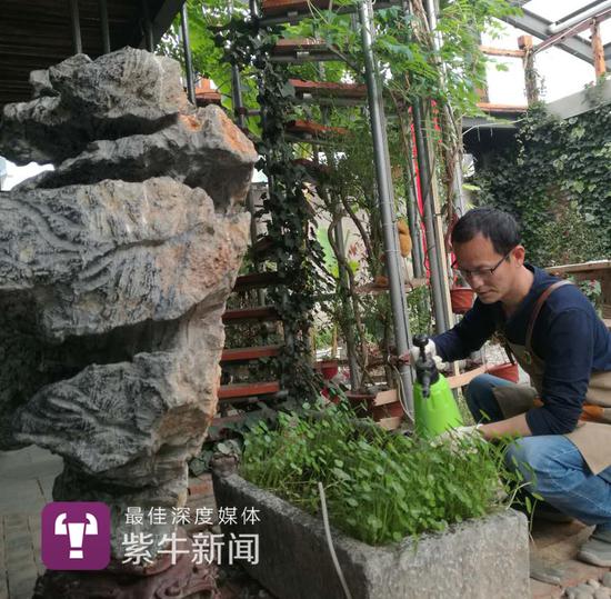 花甲男子用废弃物打造2千平花园 请大家免费住