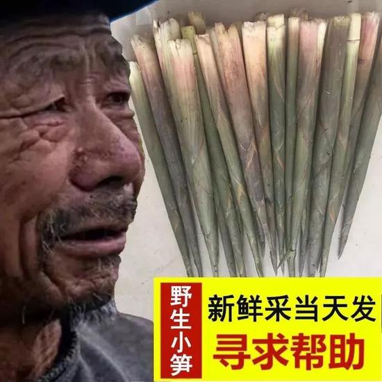 “滞销大爷”照片被滥用 商家：看他好拉生意