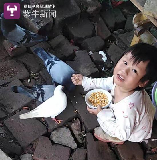 6岁娃切菜摆盘攒了40万粉丝 大家看她的直播都哭了