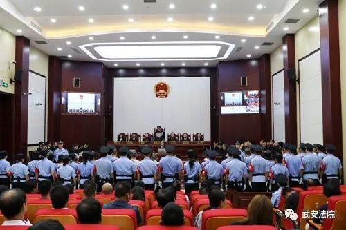 河北“爱心妈妈”案一审宣判：主犯李艳霞获刑20年