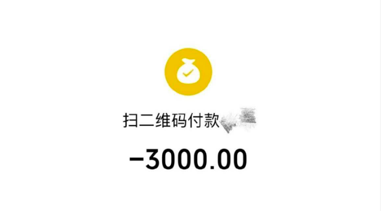 　王先生向司机支付3000元的人工搬运费。受访者供图