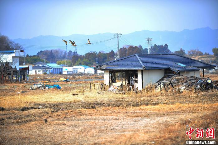 资料图：“311大地震”发生后，灾区多地荒无人烟。中新社发 孙冉 摄