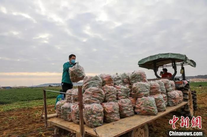 湖北保卫战总攻号角吹响!胜利还有多远?