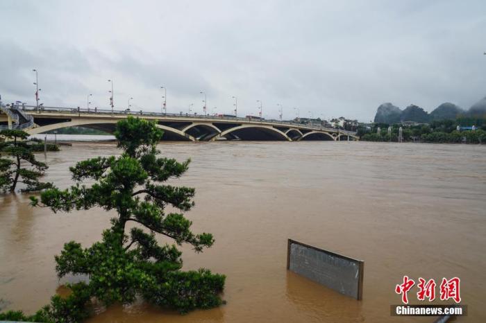 6月9日，受持续强降雨影响，广西桂林漓江市区段出现洪峰。中新社记者 唐梦宪 摄