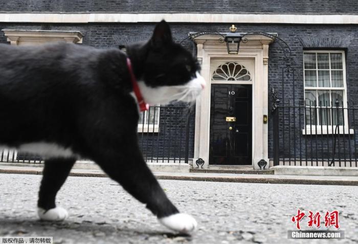 英国外交部“首席捕鼠官”帕默斯顿。