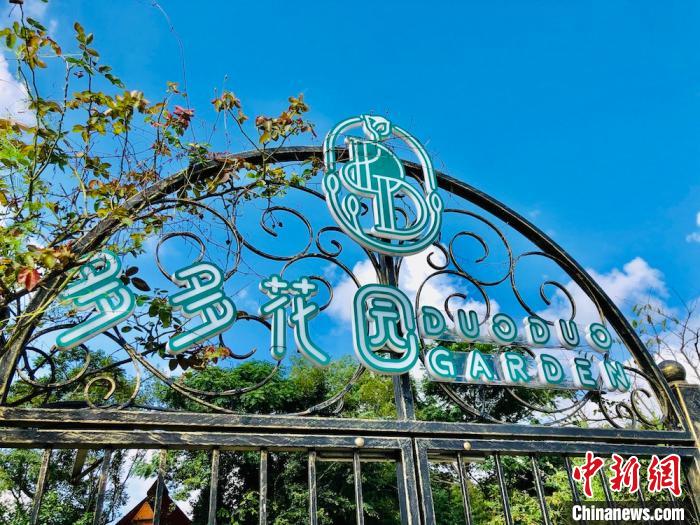 无锡胶山脚下的“多多花园”。