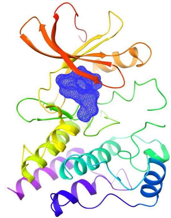 零突破！中国抗癌新药“泽布替尼”在美获批上市