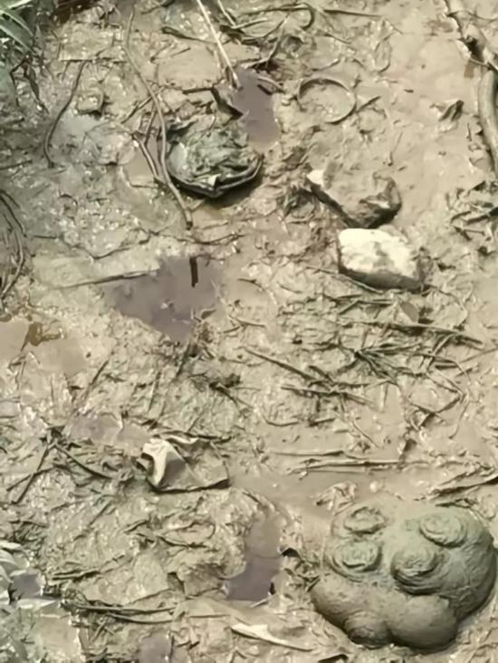 图6 河滩上液体呈红褐色,强碱性,与厂区废水特征一致