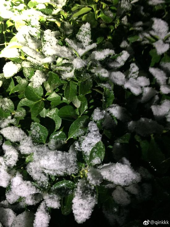 南京等地迎来2019年首场雪，部分高速路段采取限速管制