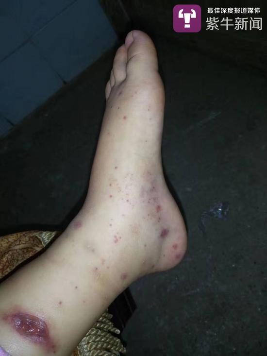 6岁娃切菜摆盘攒了40万粉丝 大家看她的直播都哭了