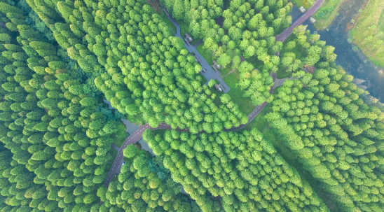 图/@签约摄影师路远