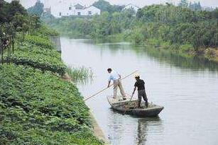 泗阳评选“不合格河长” 逼干部常在河边跑