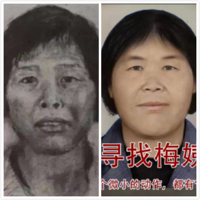 左侧为公安部官方公布的“梅姨”画像。