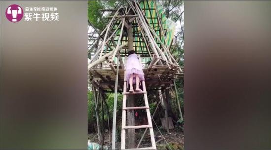 6岁娃切菜摆盘攒了40万粉丝 大家看她的直播都哭了