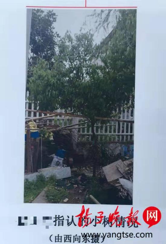 7岁男孩在家写作业突然头部中弹 到底是谁闯的祸？