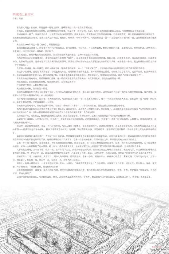 作者:蒋娇